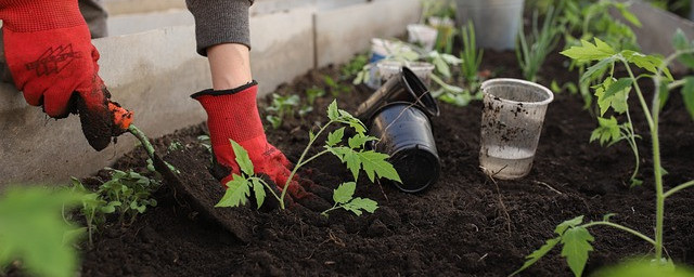 Flower farming tools