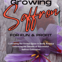 Growing Saffron For Fun & Profit